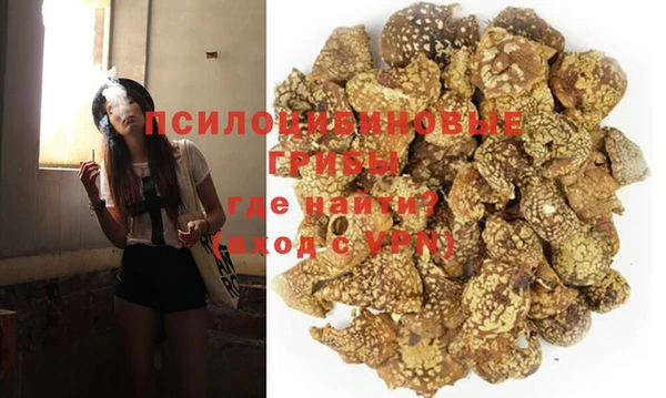 ПСИЛОЦИБИНОВЫЕ ГРИБЫ Осинники