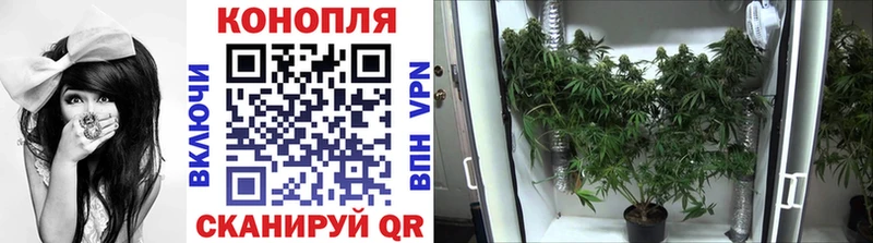 Бошки Шишки Ganja  Нефтегорск 